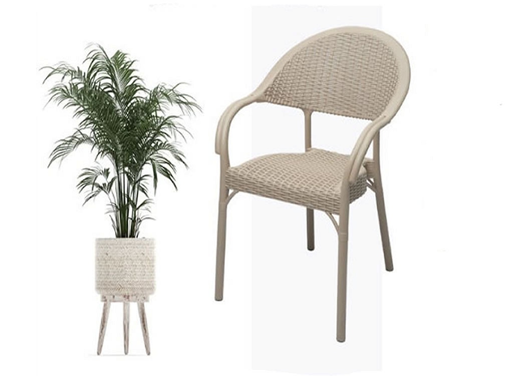 Bambu Sandalye 6'lı Takım